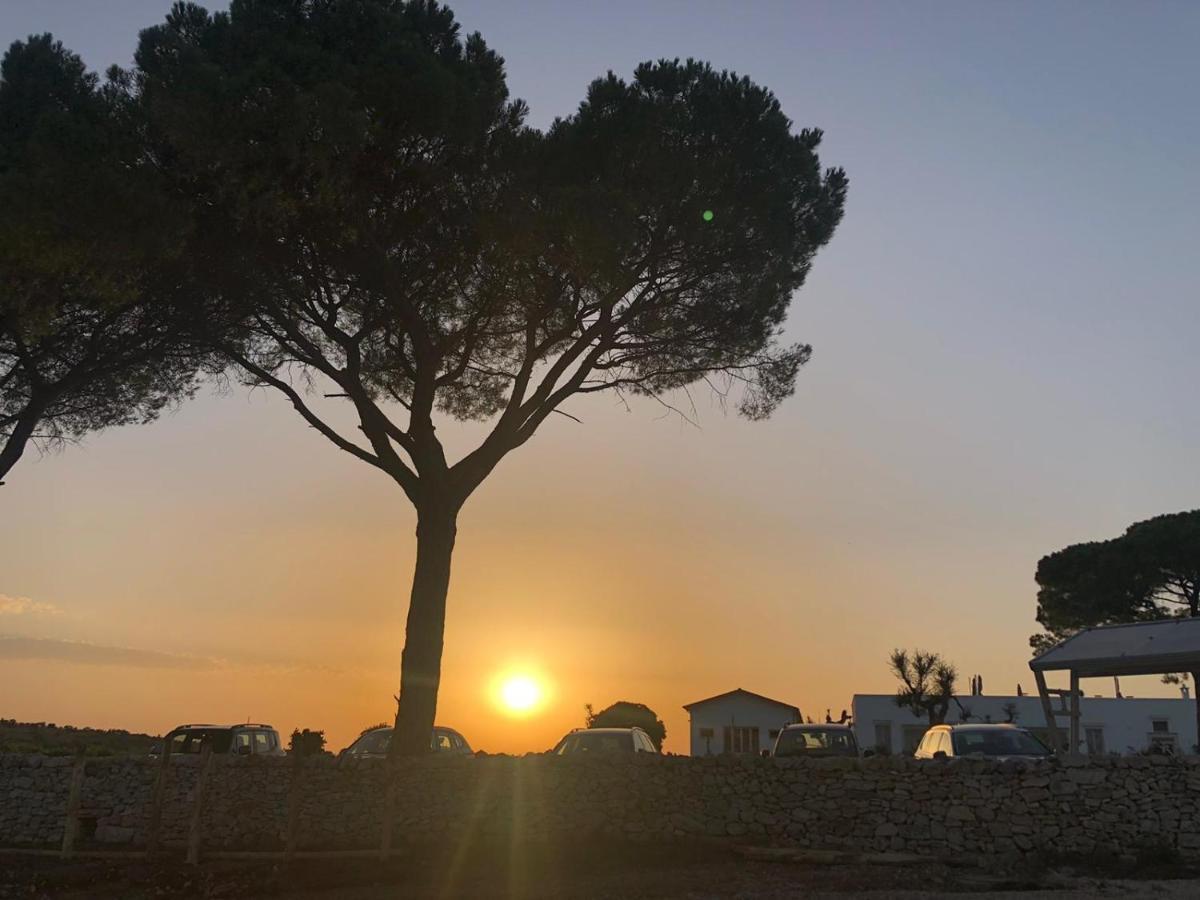 Le Masserie Zucaro Castel Del Monte  Zewnętrze zdjęcie